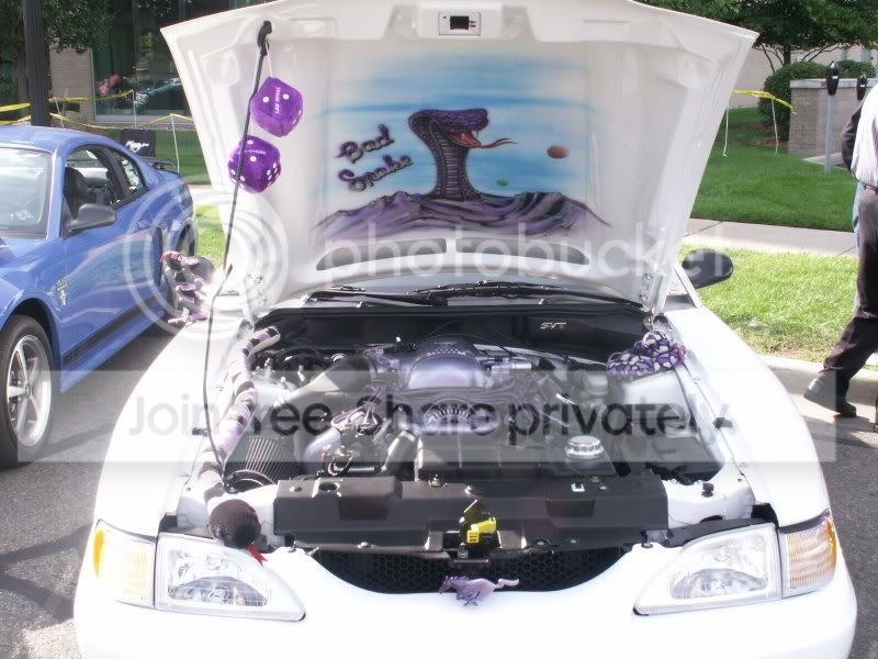 Mustangs044.jpg