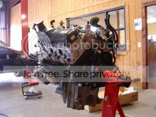 enginebuild010.jpg