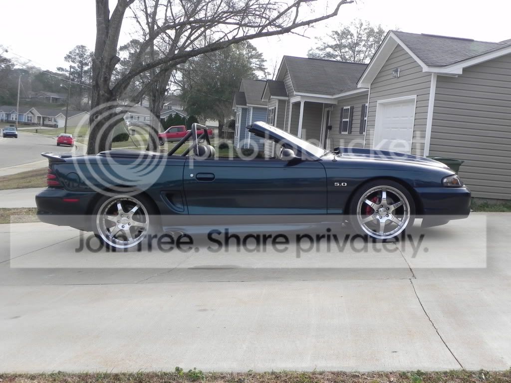 Mustang2-9-12003.jpg