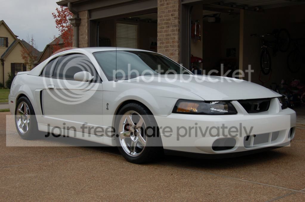 cobra_zps41bbcf9d.jpg
