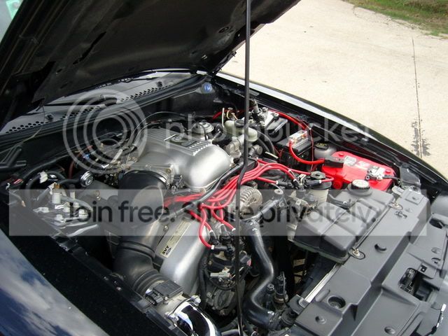 SNC10223.jpg