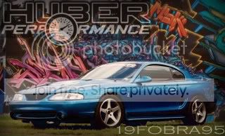 mustang222-1copy.jpg