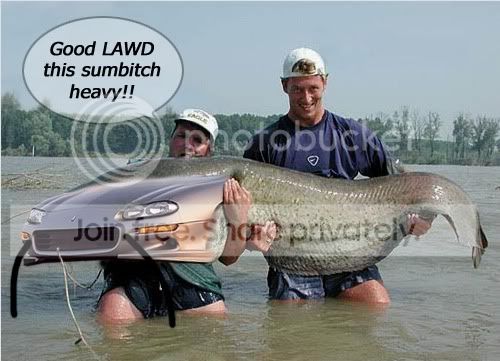 untitled222.jpg