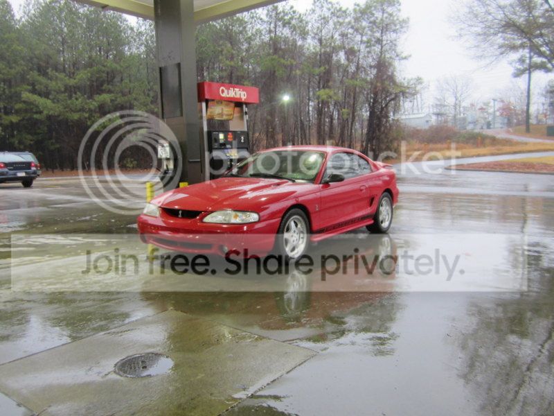 IMG_1686_zps90fd73c4.jpg