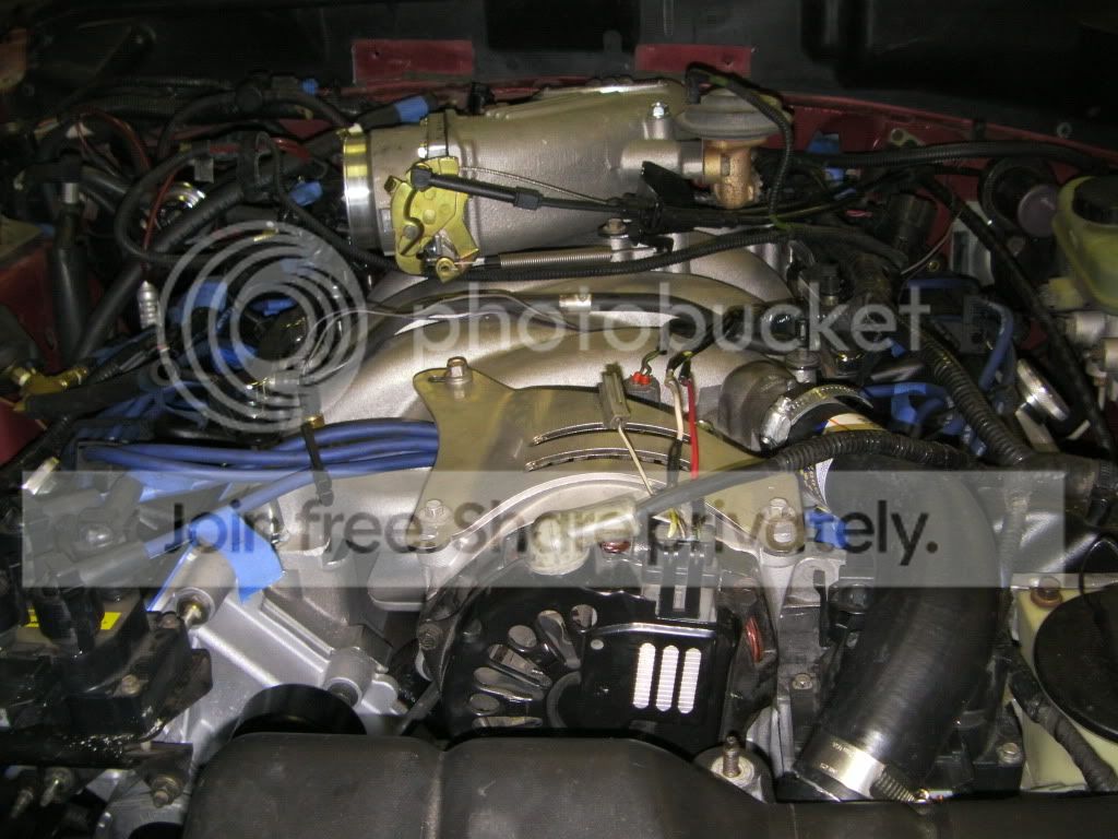 SANY0015.jpg