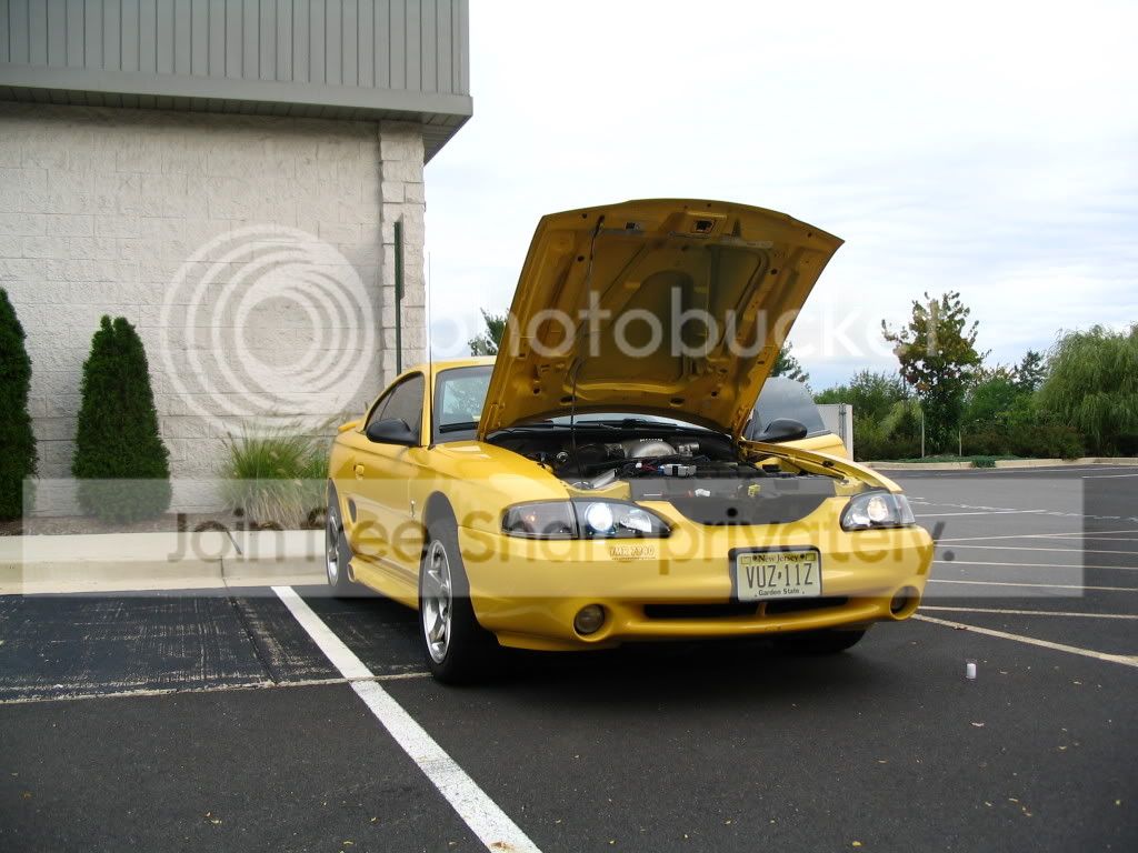 cobra053.jpg