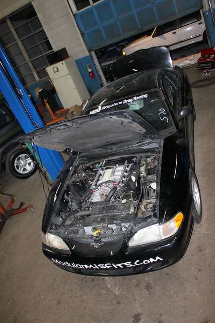 img2977e.jpg