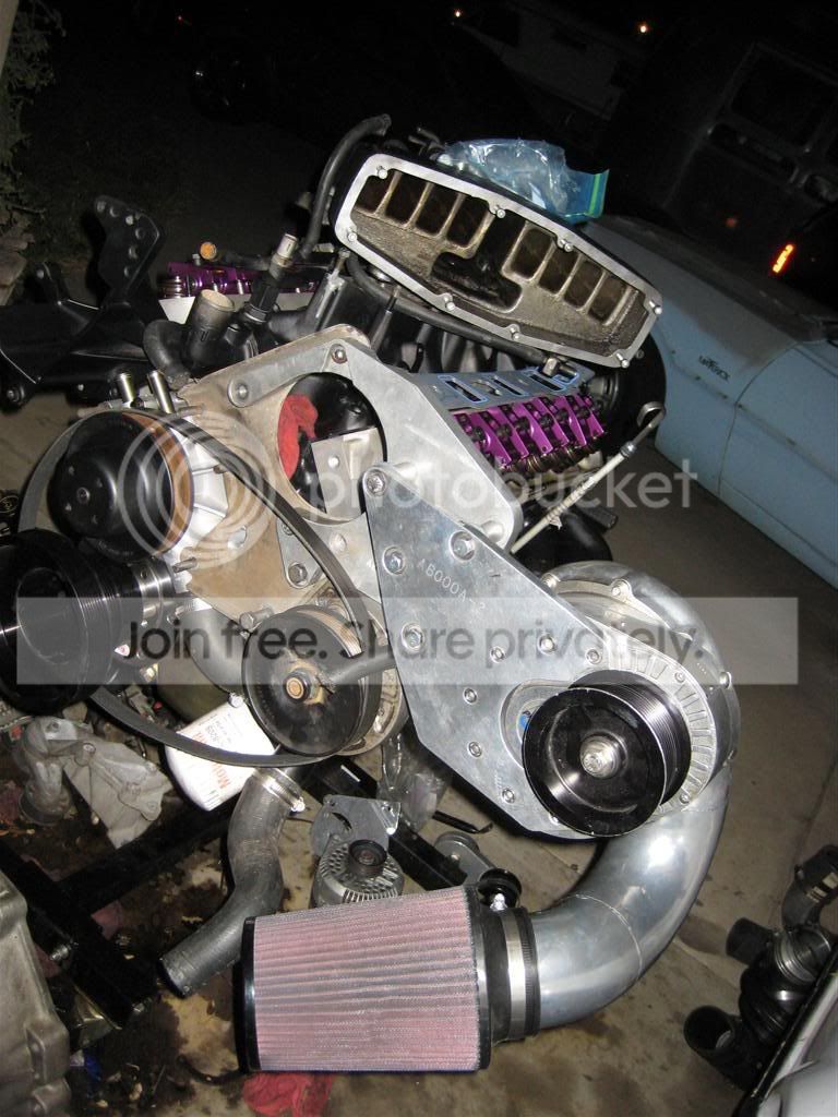 IMG_1173Large.jpg