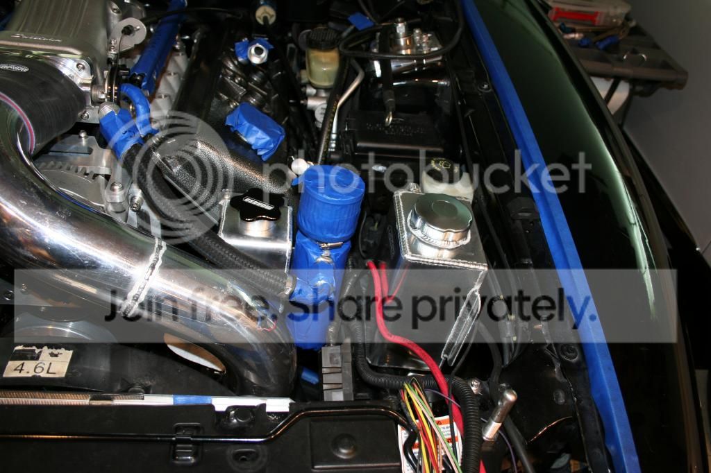 IMG_7039_zps3fbcad6a.jpg
