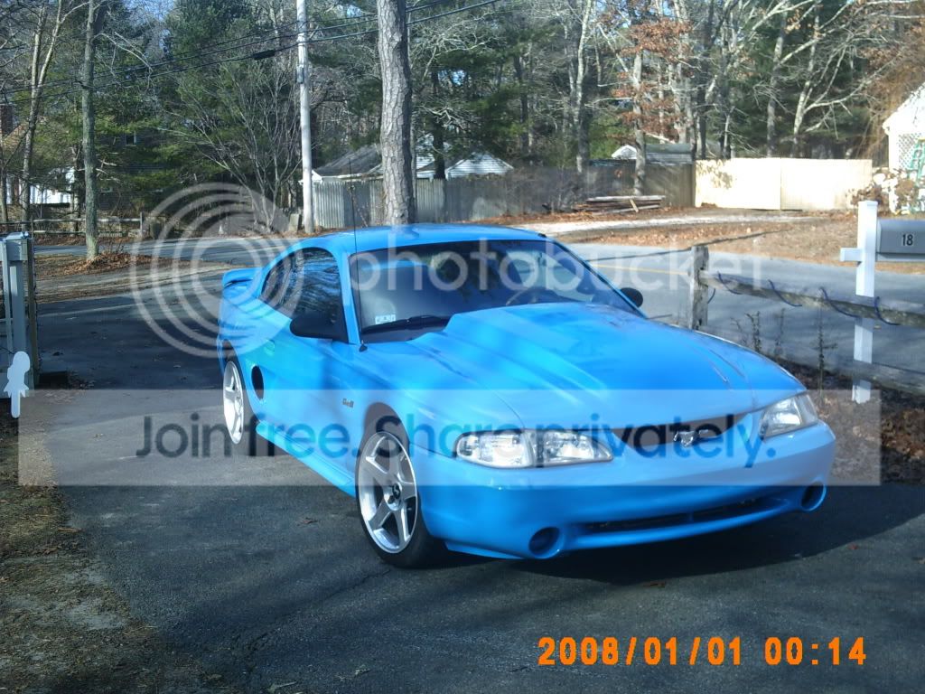 mustang005.jpg