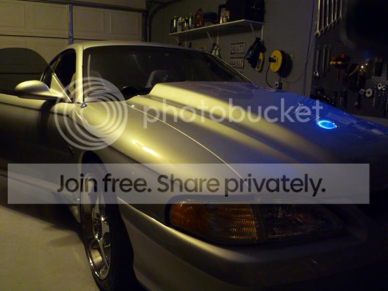 P1010096_zpsa4e1cb4c.jpg