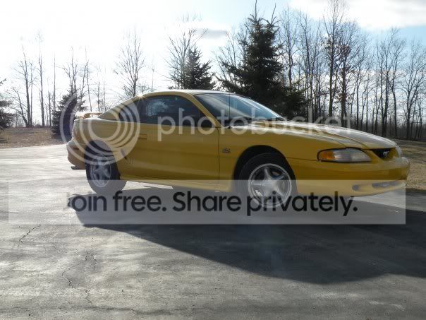 stang1.jpg