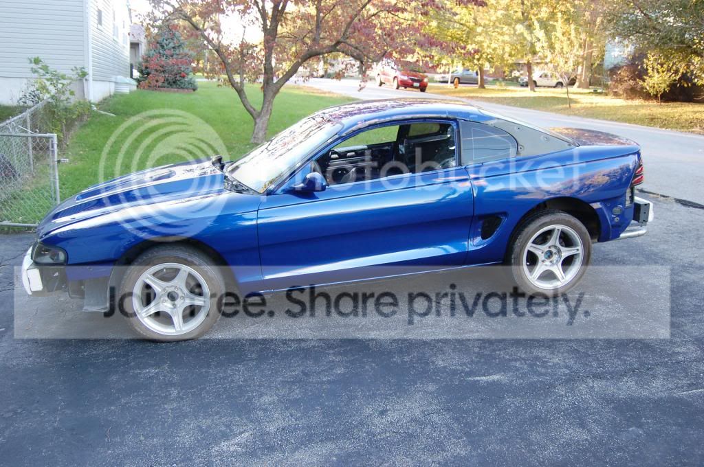 Freshfrompaint1_zps87216e3c.jpg