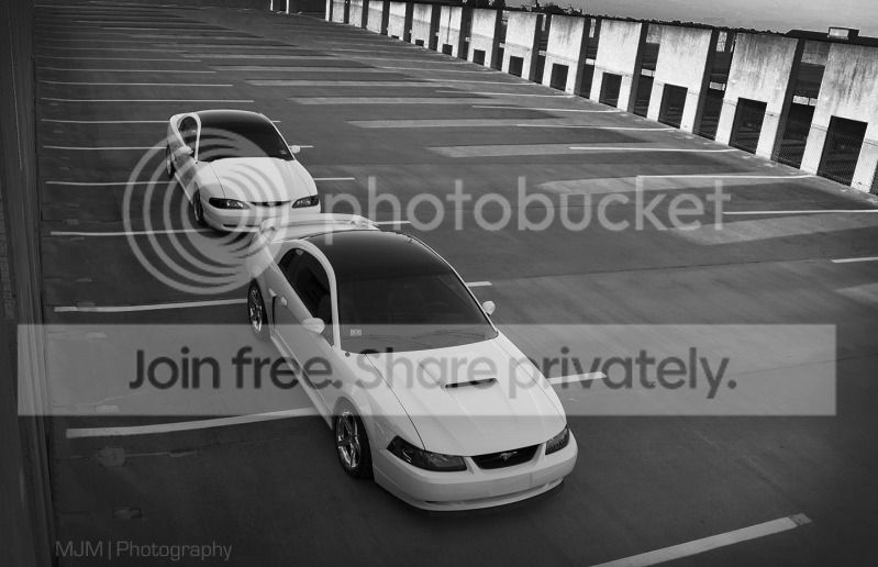 DSC_3248edit.jpg