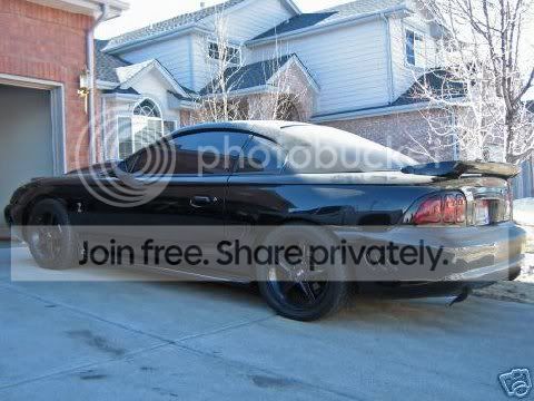 SaleenRear.jpg