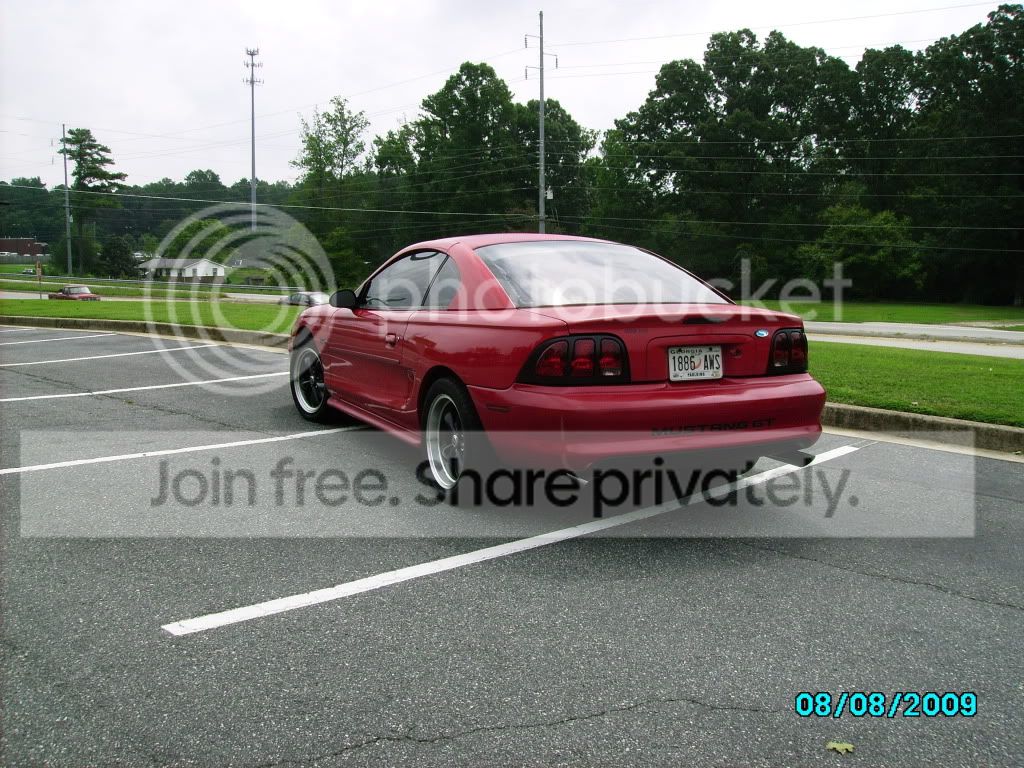 wingless2004.jpg