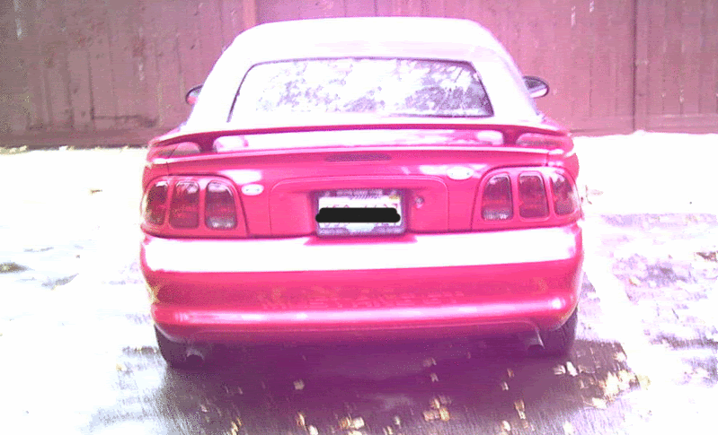PICT0003.gif