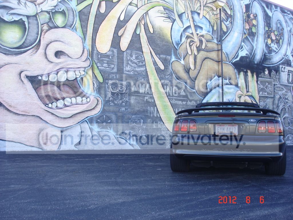 DSC05044-Copy.jpg