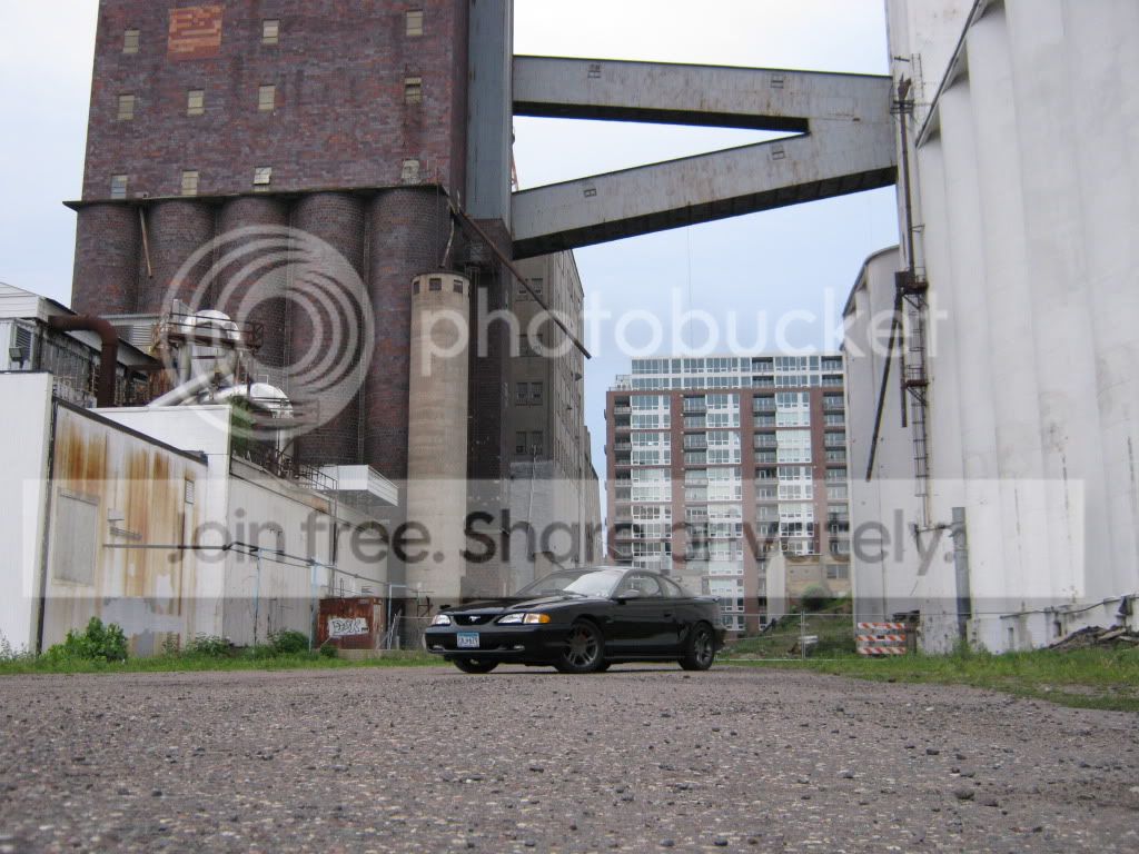 IMG_0393.jpg