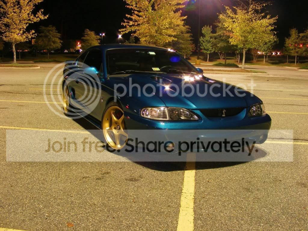 DSCF7231.jpg