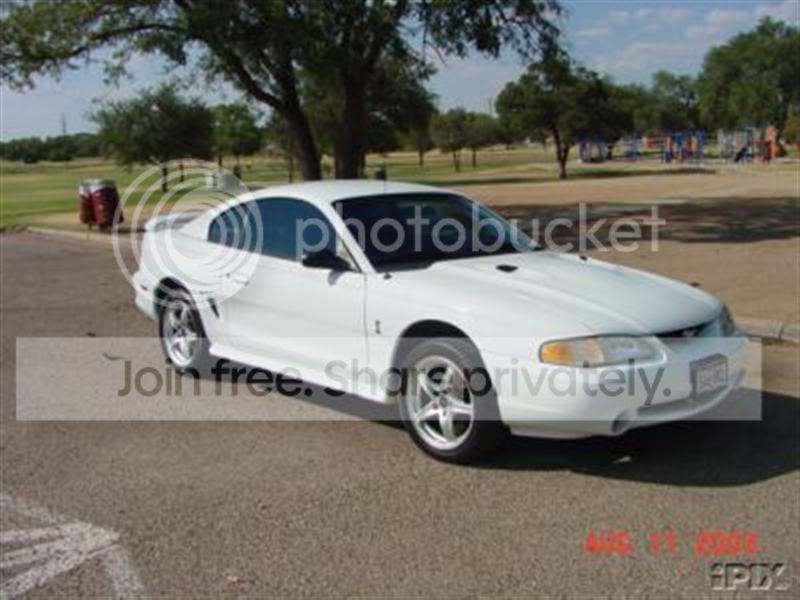 WhiteCobra3Medium.jpg