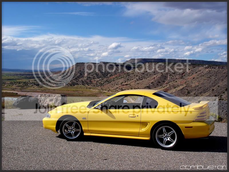 yellowshot4.jpg