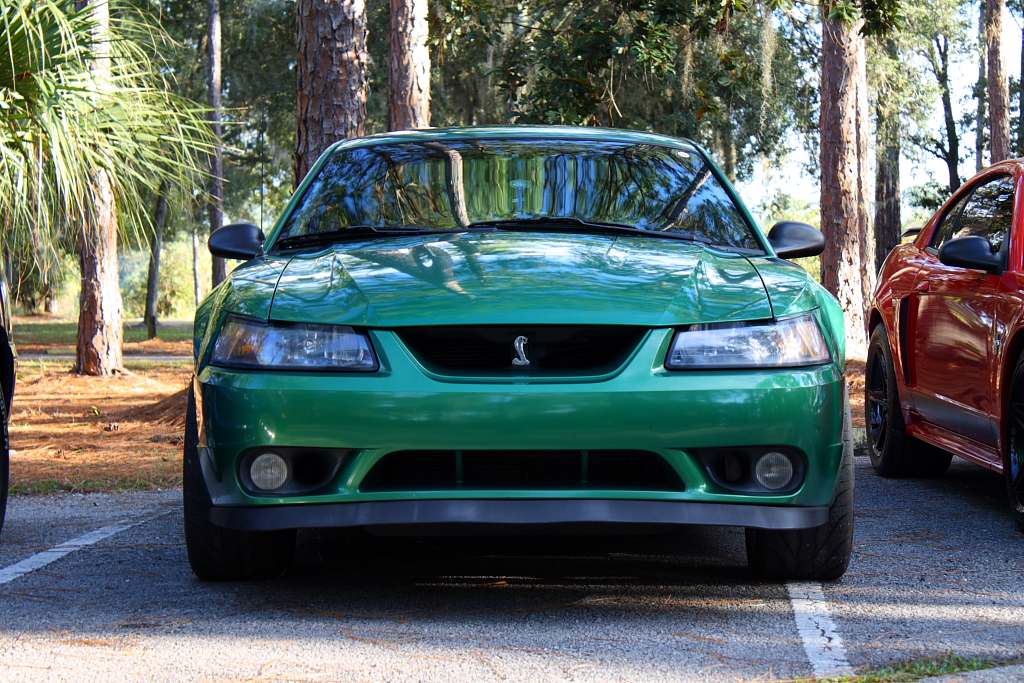 4201309599_32816f0541_o.jpg