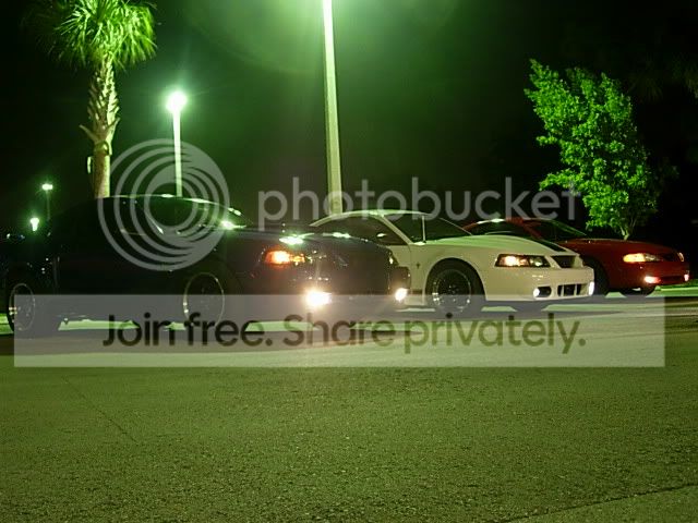 DSCN3556.jpg