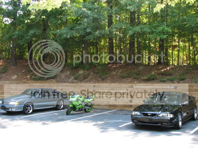 IMG_0153.jpg