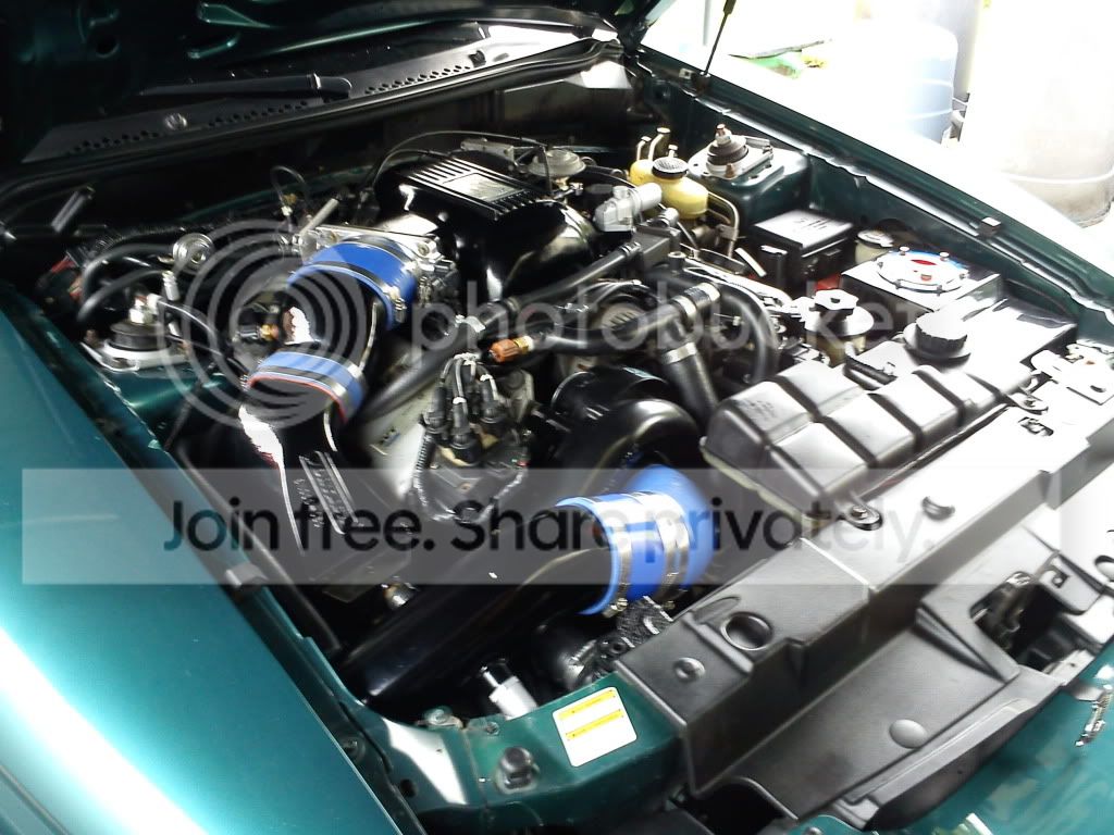 8F2D2DAA-orig.jpg
