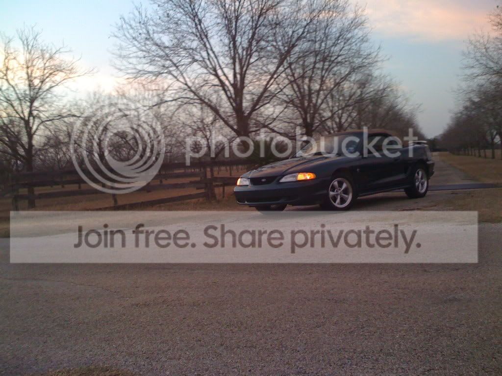 Picture202.jpg