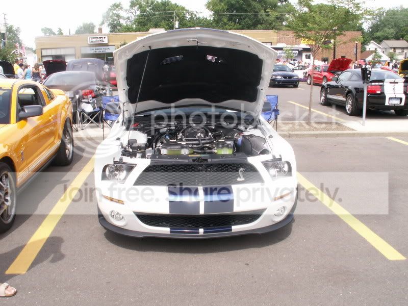 Mustangs143.jpg