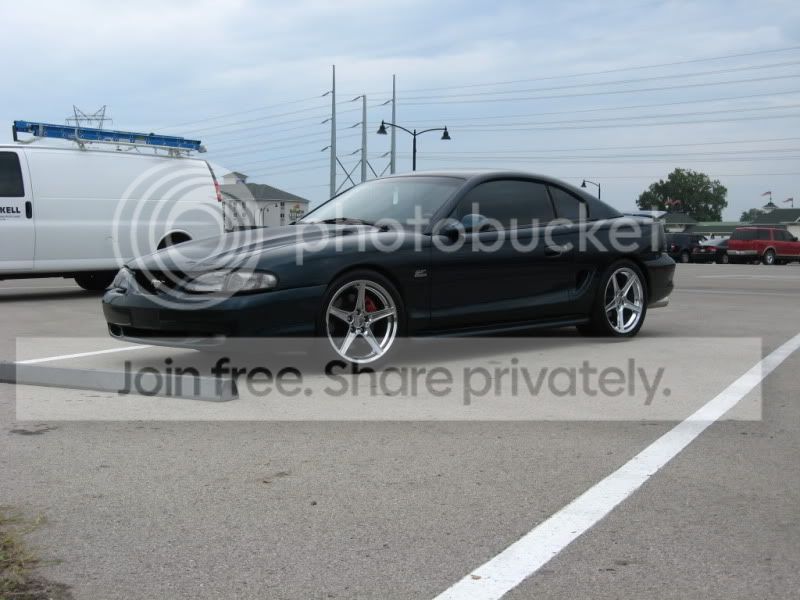 sn95sportlines.jpg