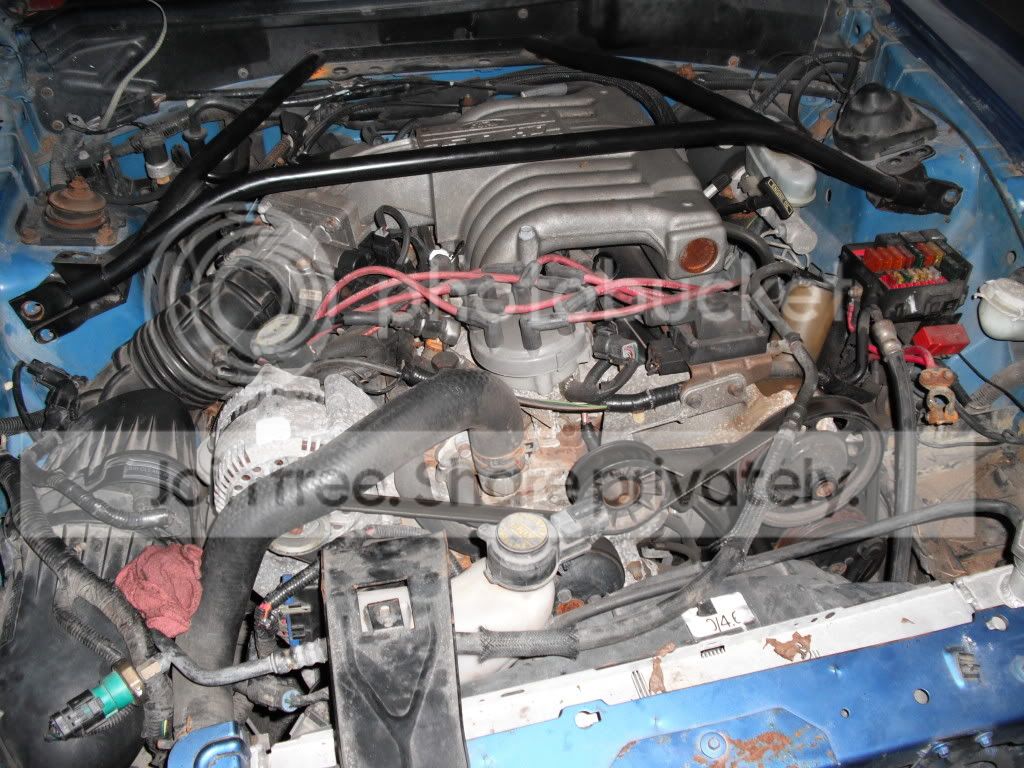 Mustang005.jpg