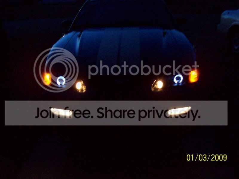 christmasandcar1309013.jpg