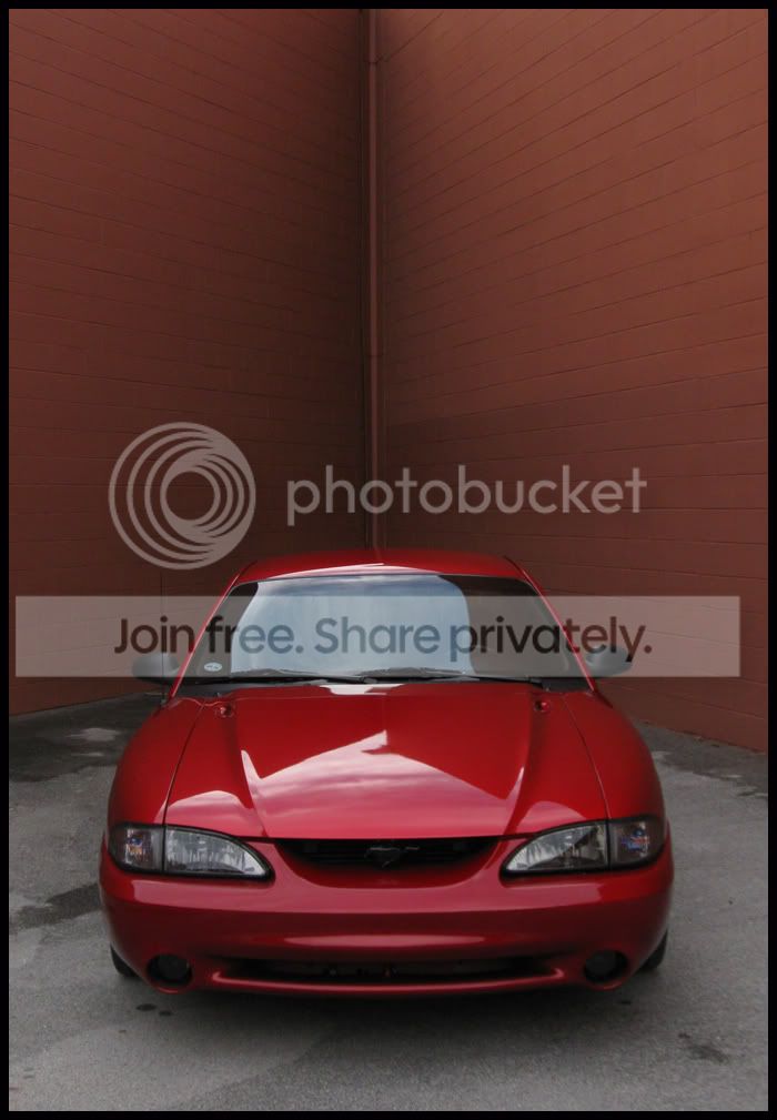stang055.jpg