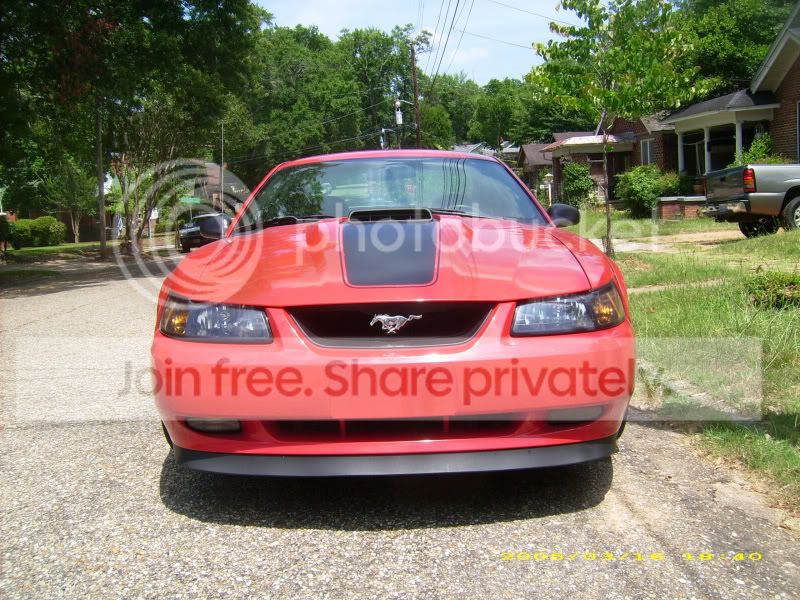 lowered010.jpg