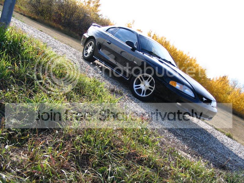 Lowered008.jpg