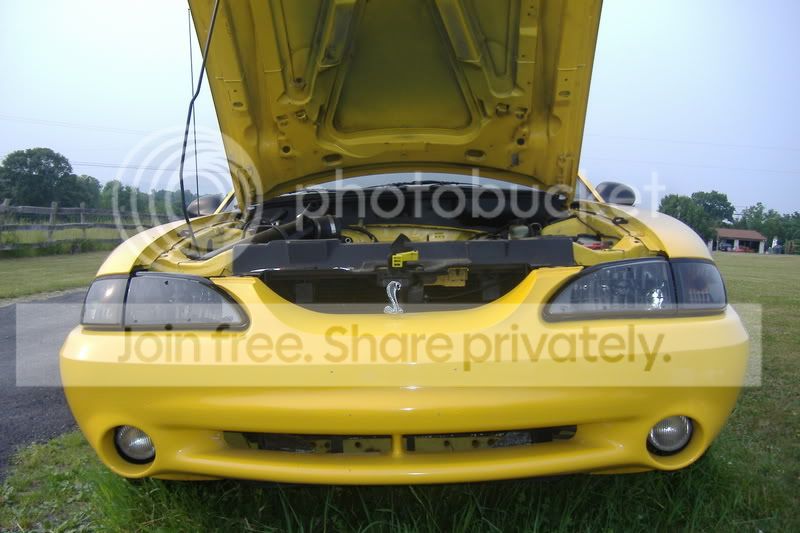 headlights002.jpg