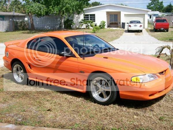 orange6.jpg