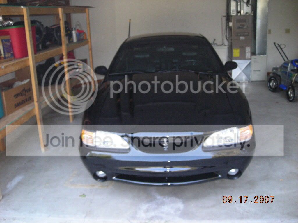 Picture013.jpg