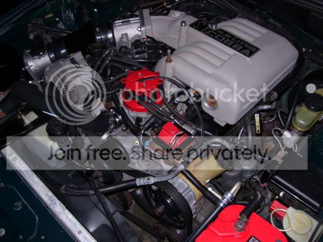 100_2535.jpg