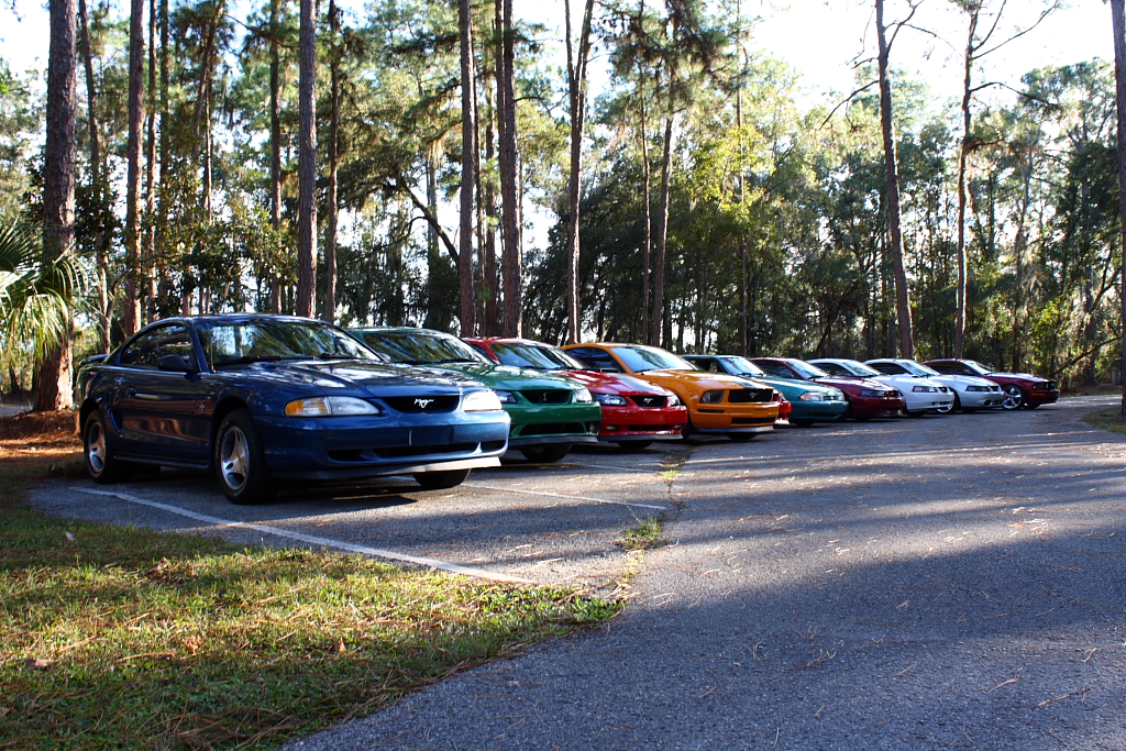 4201307273_bb52920ab3_o.jpg