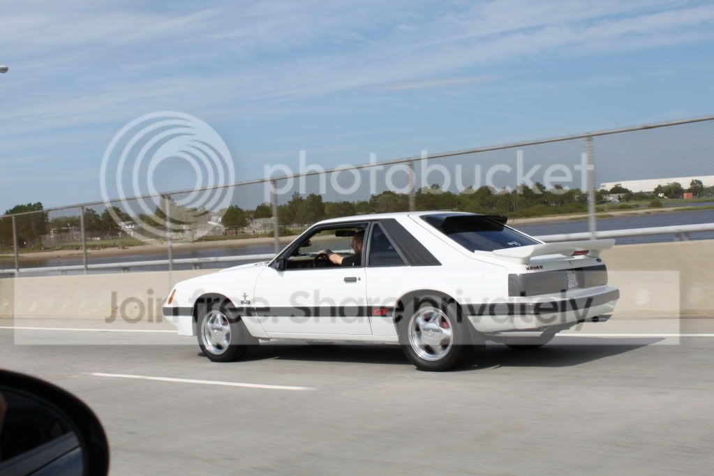 IMG_3295.jpg