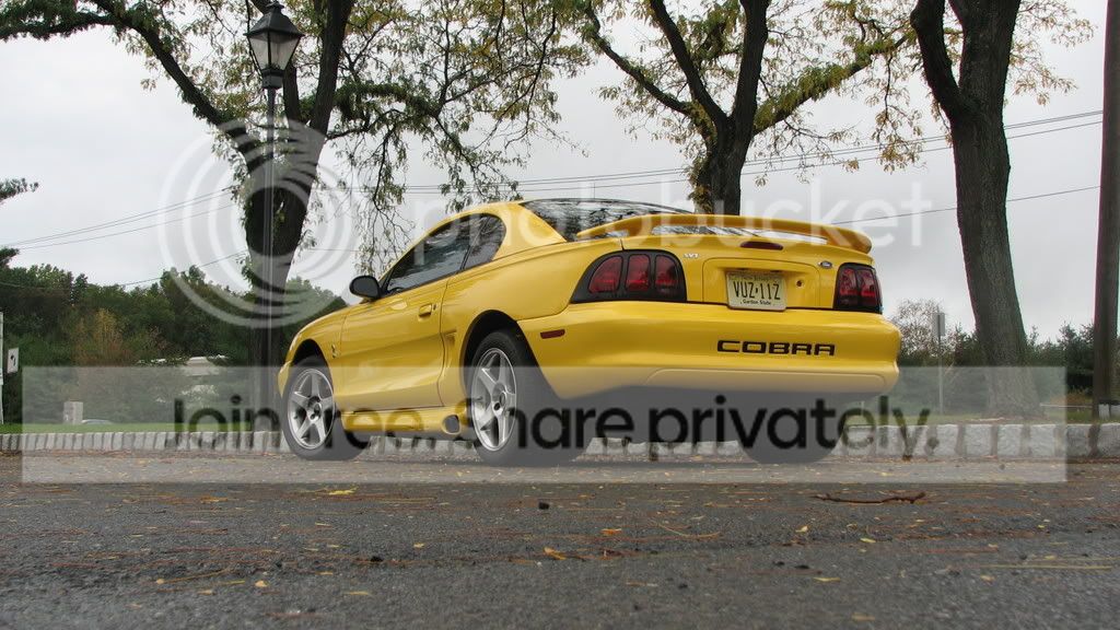 cobra396.jpg