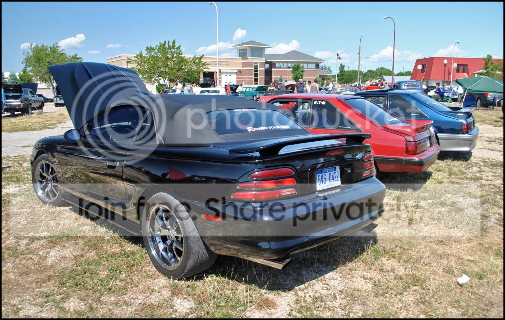DSC_1256.jpg