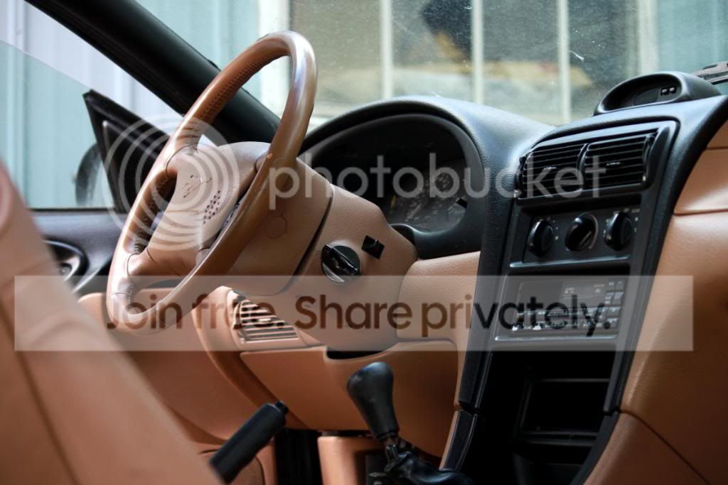 IMG_4068.jpg
