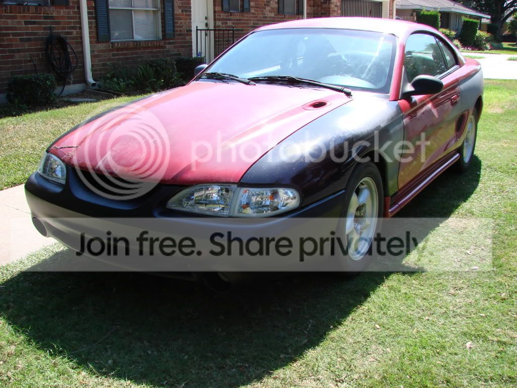 mustangpics004.jpg