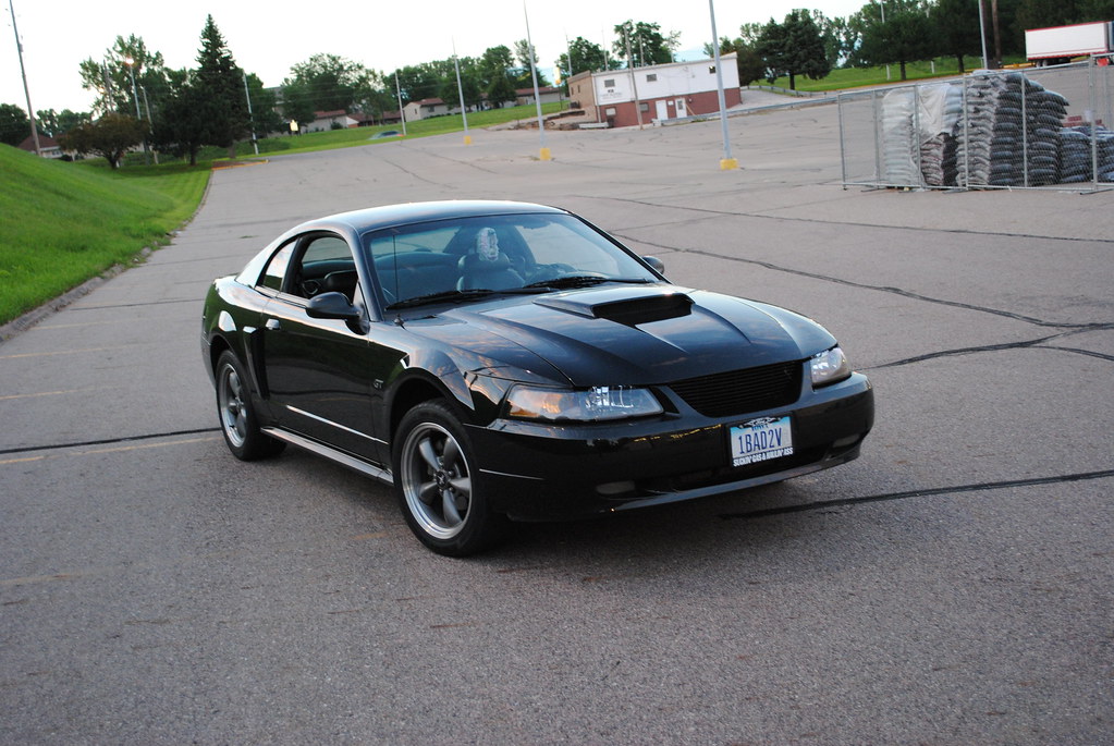 4839900362_37f80b2cc0_b.jpg