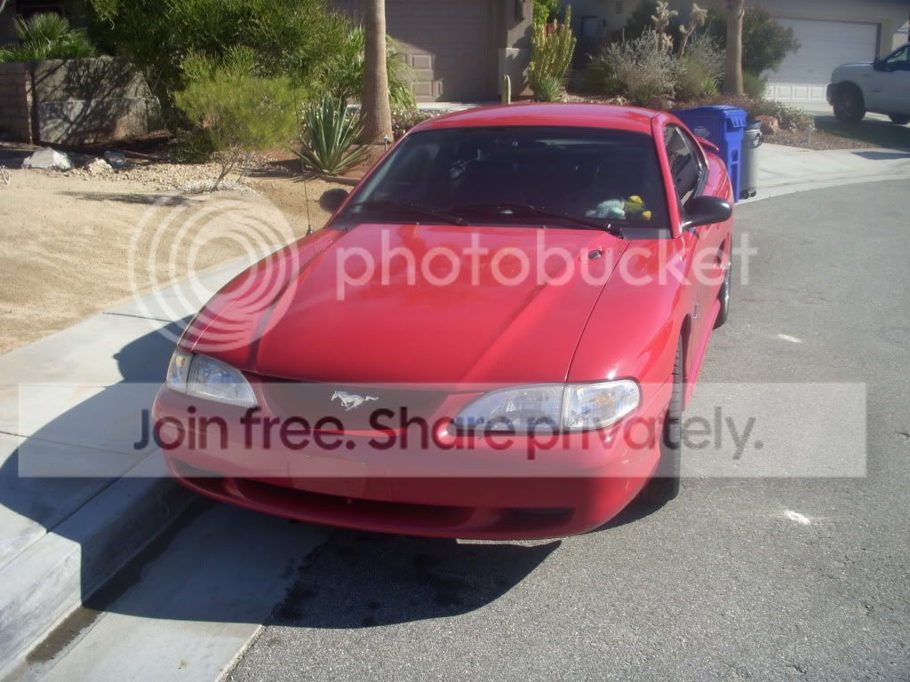 DSCN1031.jpg